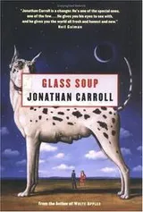 Cover of Glass soup