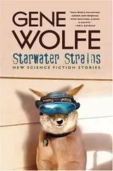 Cover of Starwater strains