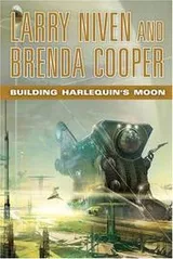 Cover of Building Harlequin's moon