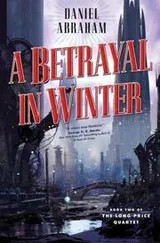 Cover of A Betrayal in Winter (Long Price Quartet, #2)