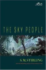 Cover of The sky people