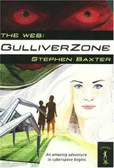 Cover of The Web