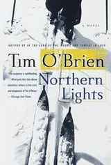 Cover of Northern lights