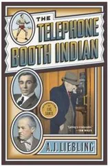 Cover of The telephone booth Indian