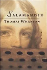 Cover of Salamander