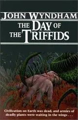 Cover of The Day of the Triffids