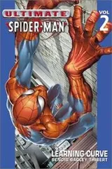 Cover of Ultimate Spider-Man Vol. 2
