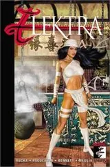 Cover of Elektra Volume 2