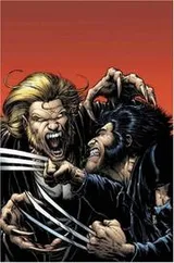 Cover of Wolverine Vol. 3