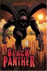 Cover of Who Is the Black Panther