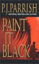 Cover of Paint it black