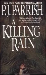Cover of A killing rain