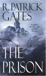 Cover of The prison