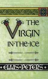 Cover of The virgin in the ice