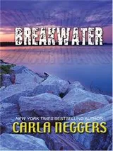 Cover of Breakwater