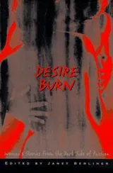 Cover of Desire burn