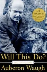 Cover of Will This Do?