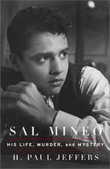 Cover of Sal Mineo