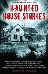 Cover of The Mammoth Book of Haunted House Stories
