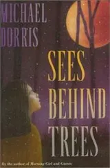 Cover of Sees Behind Trees