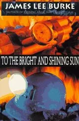 Cover of To the Bright and Shining Sun