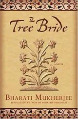Cover of The tree bride