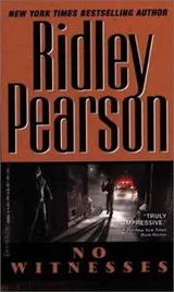 Cover of No witnesses
