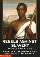Cover of Rebels against slavery