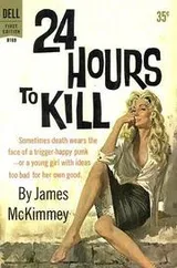 Cover of 24 hours to kill