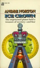 Cover of Ice Crown