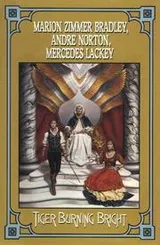 Cover of Tiger Burning Bright