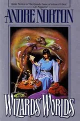 Cover of Wizards' Worlds