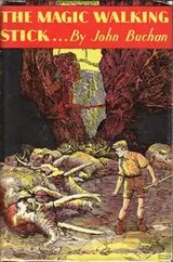 Cover of The Magic Walking-Stick