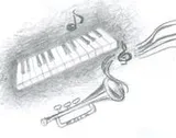 Cover of The widow and the parrot