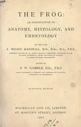 Cover of The frog