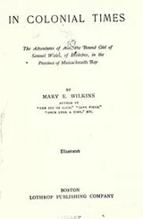 Cover of In colonial times