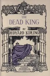 Cover of The  dead king