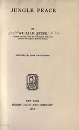 Cover of Jungle peace
