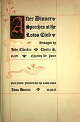 Cover of Speeches at the Lotos club