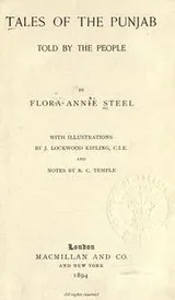 Cover of Tales of the Punjab told by the people