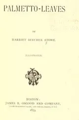 Cover of Palmetto-leaves