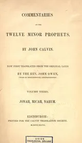 Cover of Commentaries on the twelve Minor Prophets