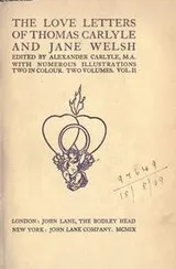 Cover of The  love letters of Thomas Carlyle and Jane Welsh