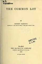Cover of The common lot