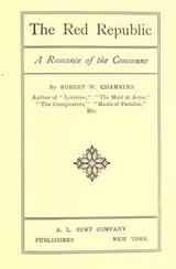 Cover of The red republic