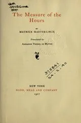 Cover of The measure of the hours