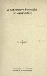 Cover of A constructive philosophy for child-culture