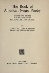 Cover of The Book of American Negro Poetry
