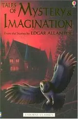 Cover of The Fall of the House of Usher and Other Tales