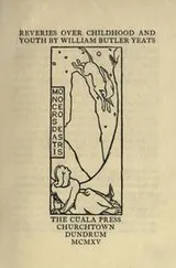 Cover of Reveries over childhood and youth
